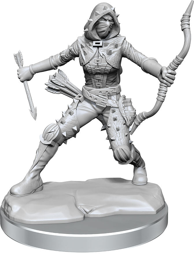 D&D Frameworks - W01 Human Rogue Female