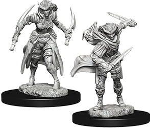 D&D Nolzur's Marvelous Unpainted Miniatures - W07 Tiefling Female Rogue