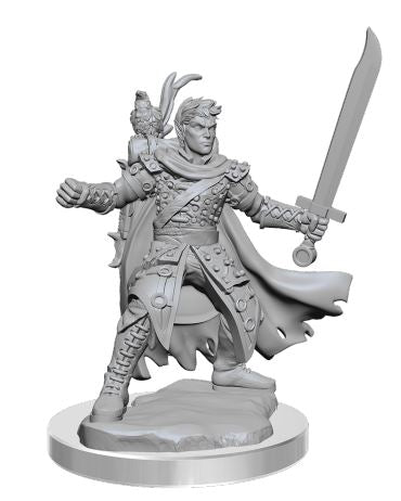 D&D Frameworks - W02A Male Half-Elf Ranger