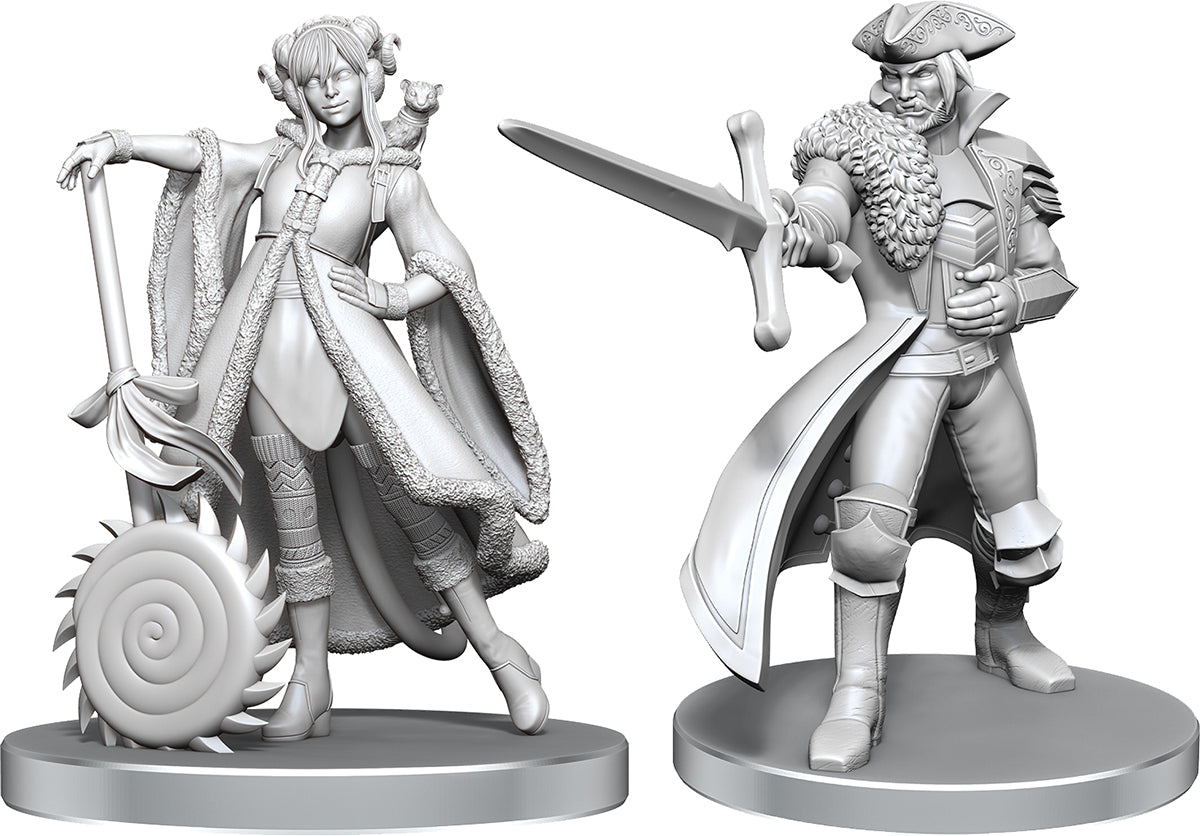 Critical Role Unpainted Miniatures: W26 Jester Lavorre & Fjord Stone