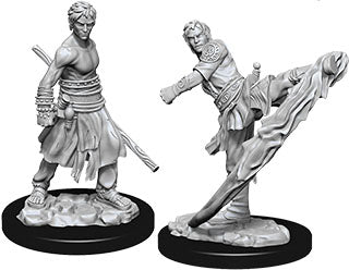 D&D Nolzur's Marvelous Unpainted Miniatures - W10 Male Half-Elf Monk