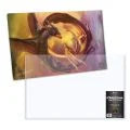 Playmat Topload Holder 24x14