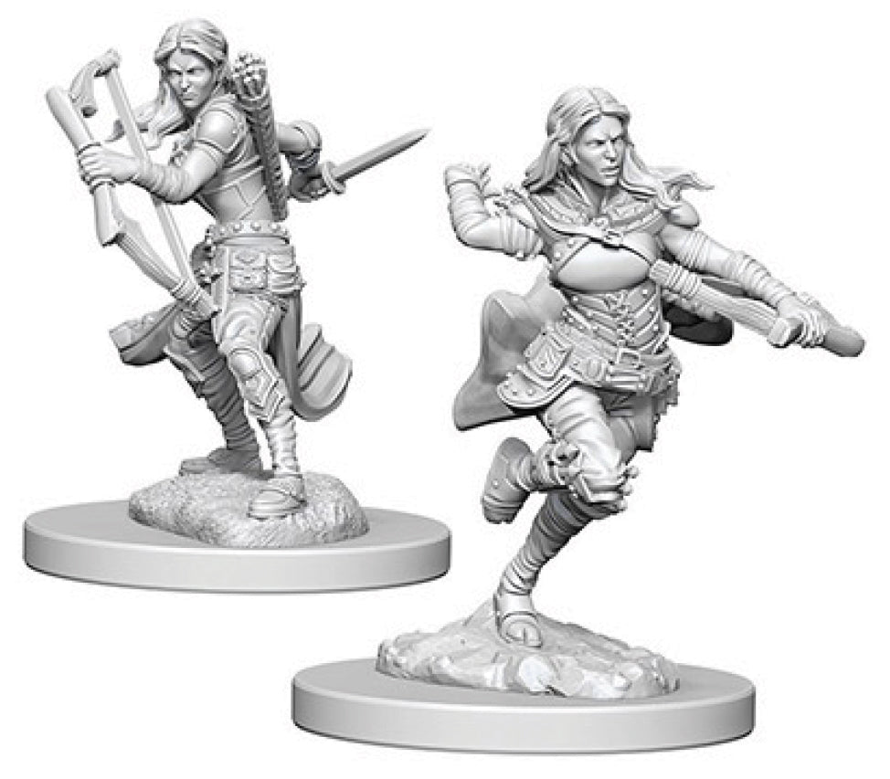 D&D Nolzur's Marvelous Unpainted Miniatures - W04 Air Genasi Female Rogue