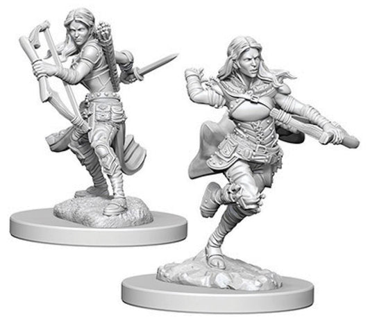 D&D Nolzur's Marvelous Unpainted Miniatures - W04 Air Genasi Female Rogue