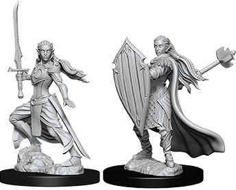 D&D Nolzur's Marvelous Unpainted Miniatures - W09 Female Elf Paladin