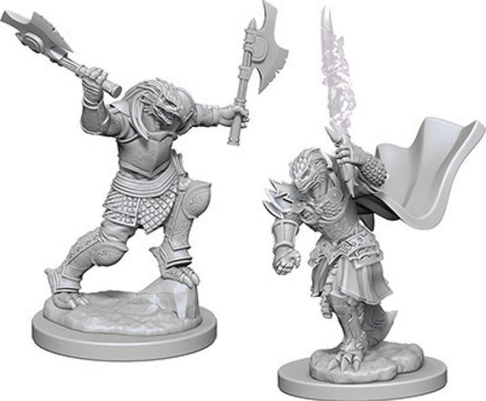 D&D Nolzur's Marvelous Unpainted Miniatures - W04 Dragonborn Female Fighter
