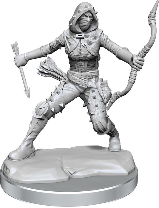 D&D Frameworks - W01 Human Rogue Female