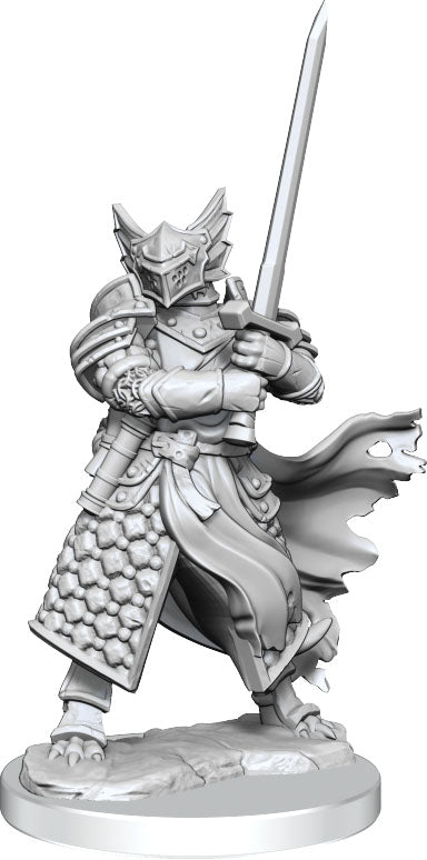 D&D Frameworks - W01 Dragonborn Paladin Male