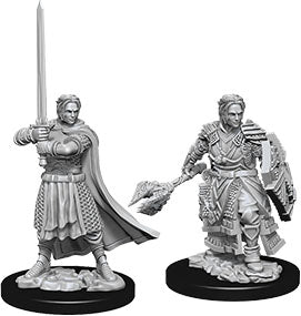 D&D Nolzur's Marvelous Unpainted Miniatures - W08 Male Human Cleric