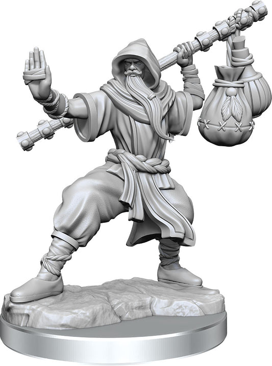 D&D Frameworks - W01 Human Monk Male