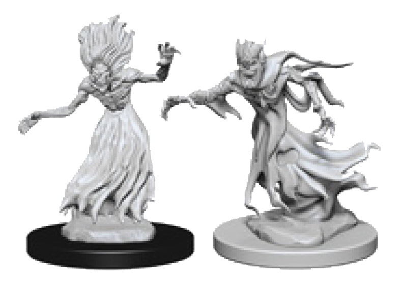 D&D Nolzur's Marvelous Unpainted Miniatures - W03 Wraith & Specter