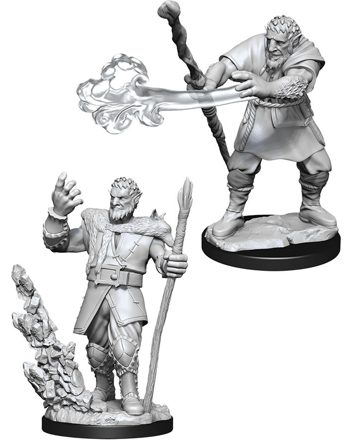 D&D Nolzur's Marvelous Unpainted Miniatures - W11 Male Firbolg Druid