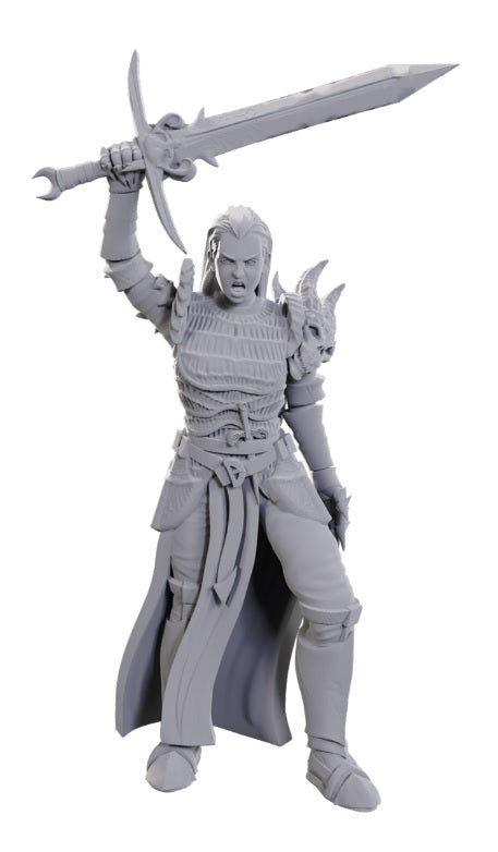 D&D Nolzur's Marvelous Unpainted Miniatures - W25 Blackguard