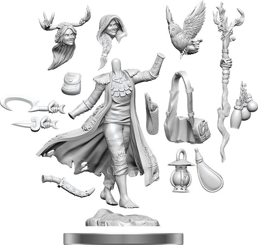 D&D Frameworks - W01 Human Druid Female