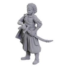 D&D Nolzur's Marvelous Unpainted Miniatures - W23 Ansalon Human Rogue