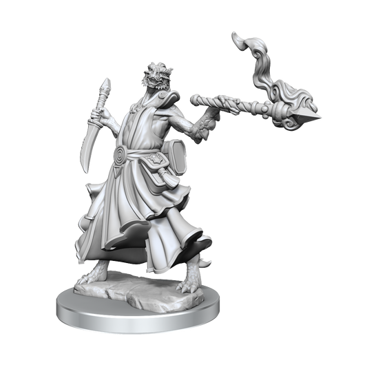 D&D Frameworks - W01 Dragonborn Sorcerer Female