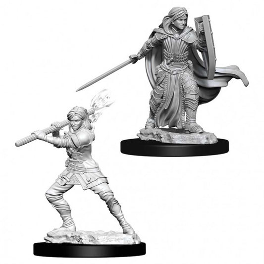 D&D Nolzur's Marvelous Unpainted Miniatures - W10 Female Human Paladin