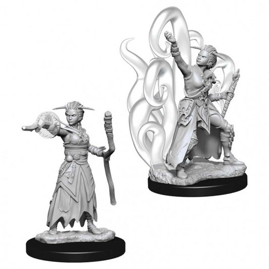 D&D Nolzur's Marvelous Unpainted Miniatures - W10 Female Human Warlock