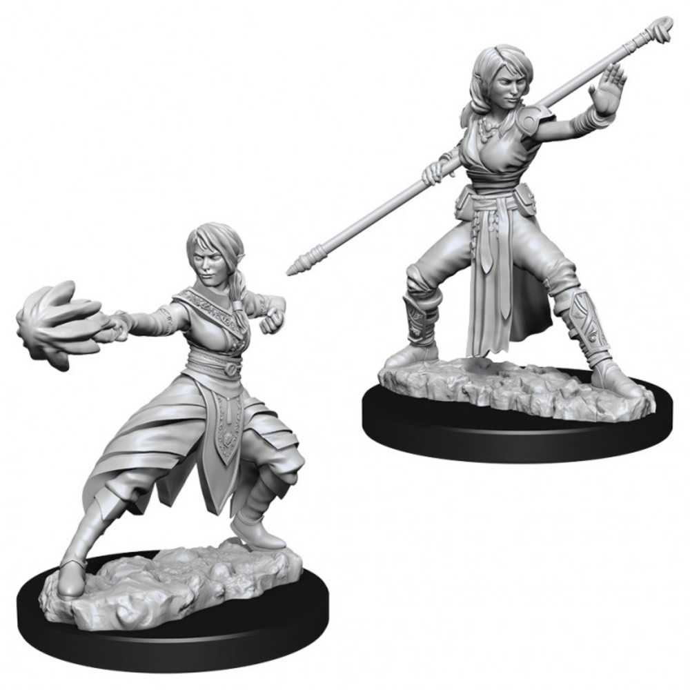 D&D Nolzur's Marvelous Unpainted Miniatures - W10 Female Half-Elf Monk