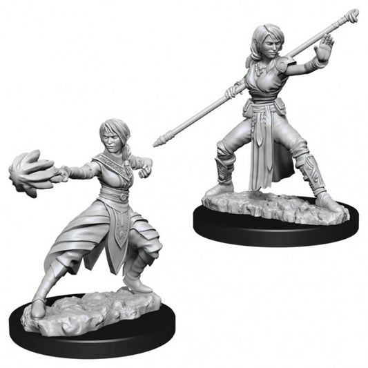 D&D Nolzur's Marvelous Unpainted Miniatures - W10 Female Half-Elf Monk