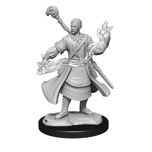 D&D Nolzur's Marvelous Unpainted Miniatures - W14 Half-Elf Wizard Male