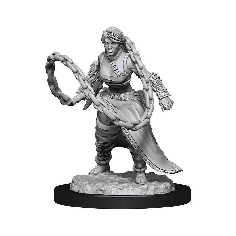 D&D Nolzur's Marvelous Unpainted Miniatures - W14 Human Monk Female