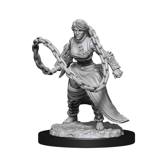 D&D Nolzur's Marvelous Unpainted Miniatures - W14 Human Monk Female